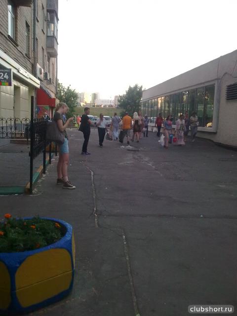 16978_len0404.jpg